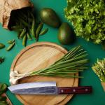 8.15" High Carbon Steel Bunka Sashimi Knife