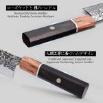 Japanese Kiritsuke Chef Knife - Razor Sharp Carbon Steel