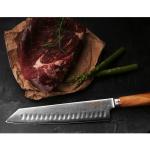 10" Kiritsuke Chef Knife - Japanese Damascus Steel