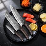 3-Piece Japanese Chef Knife Set