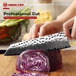 8-Inch Kiritsuke Chef Knife, 67-Layer VG10 Steel