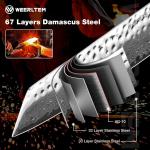 8-Inch Kiritsuke Chef Knife, 67-Layer VG10 Steel