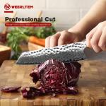 8-Inch Japanese Kiritsuke Knife with 67-Layer VG10