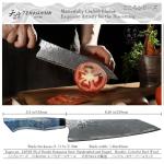 Japanese 210mm Santoku Chef Knife - Gyutou Style