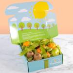 Golden State Signature Fruit Gift Collection