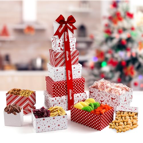 Christmas Gourmet Treat Tower - Dried Fruits & Nuts