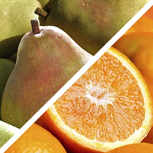 Golden State Signature Fruit Gift Collection