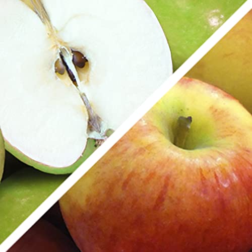 Golden State Signature Fruit Gift Collection