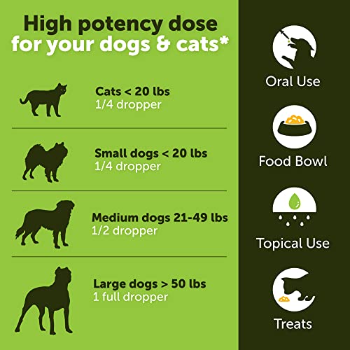 Hemp Oil for Pets - Anxiety & Pain Relief