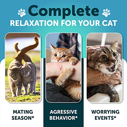 Hemp Calming Treats for Anxious Cats