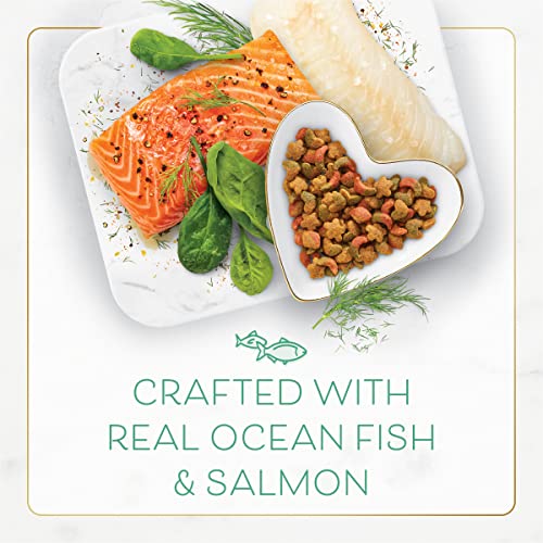 Ocean-fish & salmon Fancy Feast for cats - 7lbs