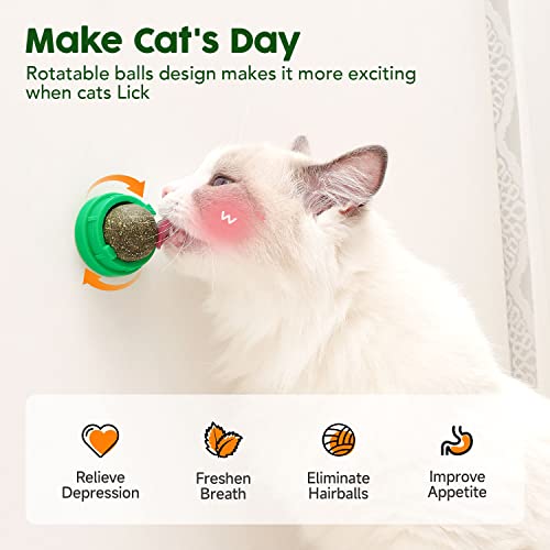 Cat Energy Balls and Toys Set (Green)