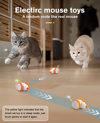 Interactive LED Cat Toy with Motion Wheel