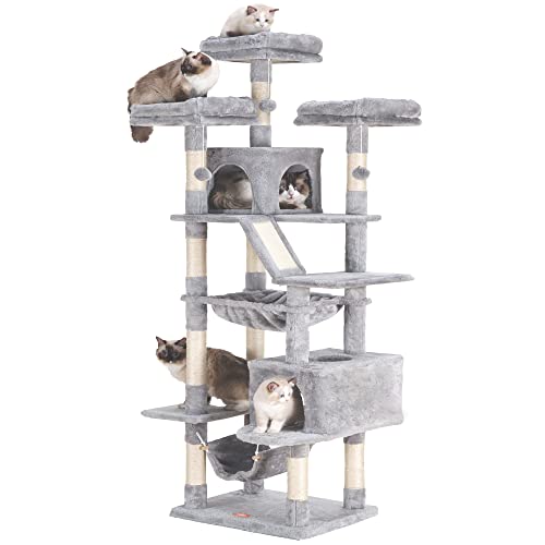 XXL Cat Tower for Large Cats