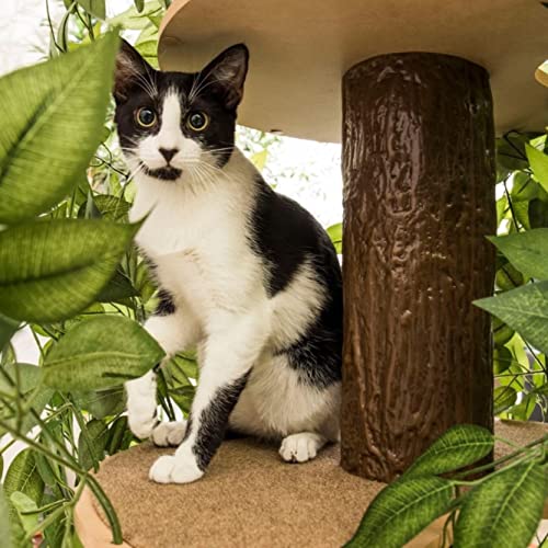On2 Pets Cat Tree with Leaves Made in USA, Cat House & Cat Activity Tree, Multi-Level Cat Condo for Indoor Cats