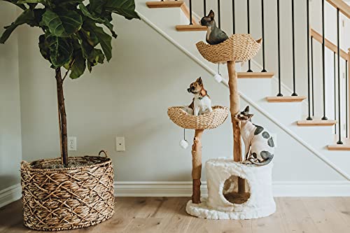 Luxury Cat Tower for Large Felines by MAU
