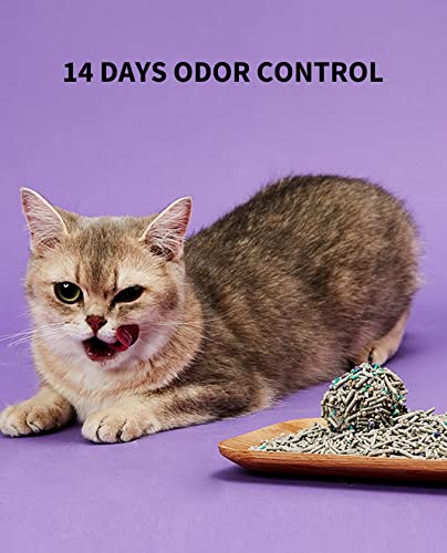5-in-1 Cat Litter with Odor Control and Flushable Formula