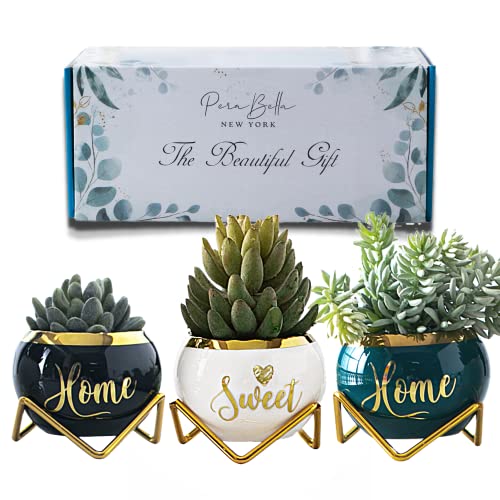 New Home Housewarming Gift Set with Succulent Pots