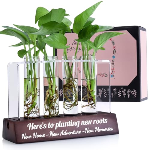 Housewarming Gift Ideas: Propagation Station for New Home