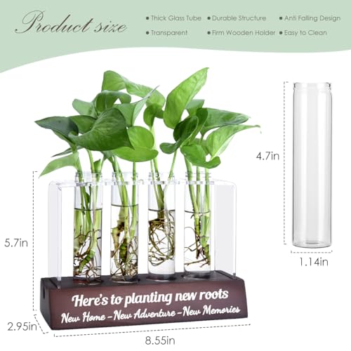 Housewarming Gift Ideas: Propagation Station for New Home