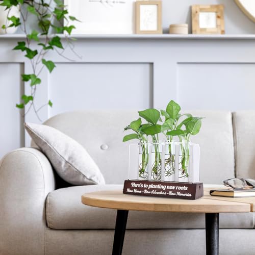 Housewarming Gift Ideas: Propagation Station for New Home