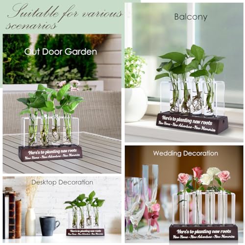 Housewarming Gift Ideas: Propagation Station for New Home