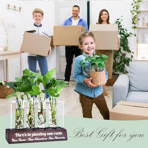 Housewarming Gift Ideas: Propagation Station for New Home