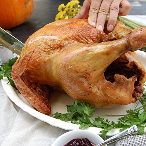 Bayou Classic 42-qt Aluminum Grand Gobbler Turkey Grill