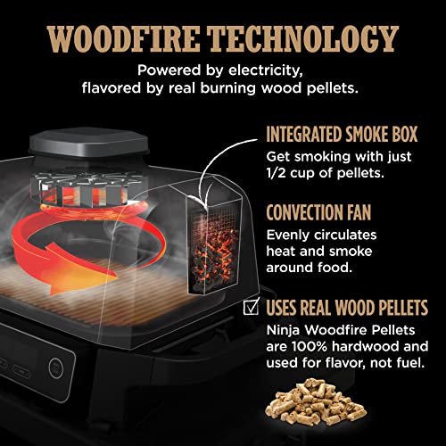 Ninja Outdoor Woodfire Grill & Smoker