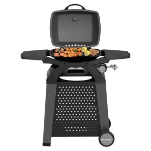 Portable Propane Gas BBQ Grill for Camping & Cooking