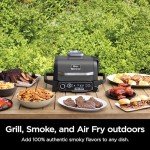 Ninja Woodfire Pro 7-in-1 BBQ Grill & Smoker