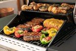 Megamaster 2-Burner Propane Gas Grill with Side Tables