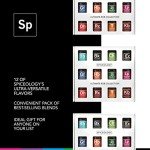 Spiceology Gourmet BBQ Rubs - Set of 12