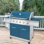 Royal Gourmet 6-Burner Propane Gas Grill