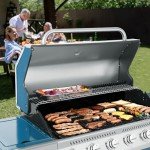 Royal Gourmet 6-Burner Propane Gas Grill