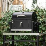 Portable Charcoal Grill with Side Handles and Opener