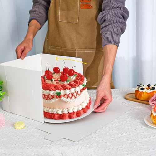 10 Sets 10x10x8 Cake Boxes with Boards