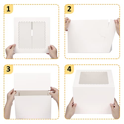 10 Sets 10x10x8 Cake Boxes with Boards