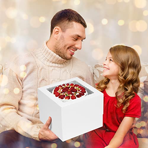 10 Sets 10x10x8 Cake Boxes with Boards
