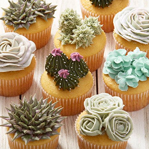 Wilton Cake & Cupcake Decorating Piping Tip Set
