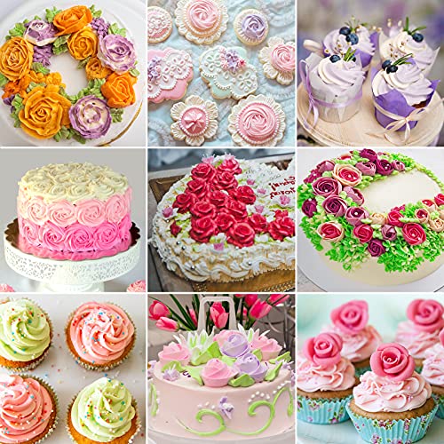 42pc Russian Piping Tips Set for Cake Decorating Kit