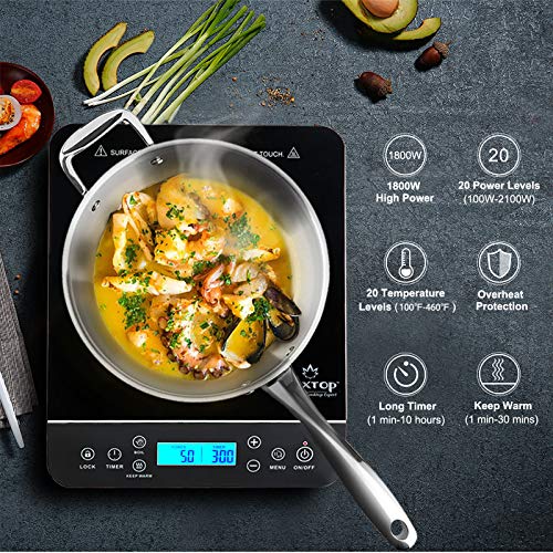 Duxtop Portable Induction Hot Plate, 1800W Silver