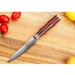 5-inch Sunlong Utility Knife - Damascus Steel Blade