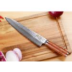 SUNLONG 10-Inch Gyuto Japanese Chef Knife