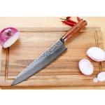 SUNLONG 10-Inch Gyuto Japanese Chef Knife