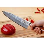 SUNLONG 10-Inch Gyuto Japanese Chef Knife