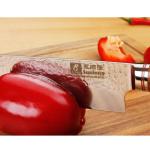 SUNLONG 10-Inch Gyuto Japanese Chef Knife