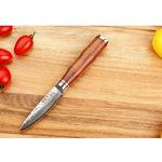 Moritaka 3.5-Inch Damascus Paring Knife with Wood Handle