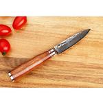 Moritaka 3.5-Inch Damascus Paring Knife with Wood Handle