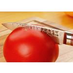 Moritaka 3.5-Inch Damascus Paring Knife with Wood Handle